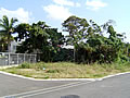 sR(29|Cg)