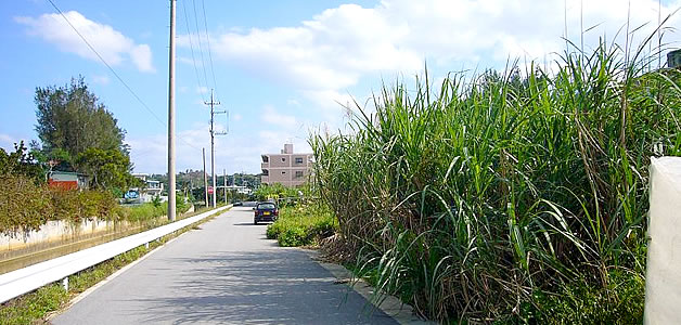 沖縄売買不動産 土地「国頭郡宜野座村字漢那」の写真3。前面道路は十分な広さもあって、便利な立地。国道が近いので､高速のICや西海岸などへも楽々アクセスできることでしょう。また近くにはかんなタラソ沖縄、漢那ビーチもありますので、リフレッシュZ&リラックスもできることでしょう。。
